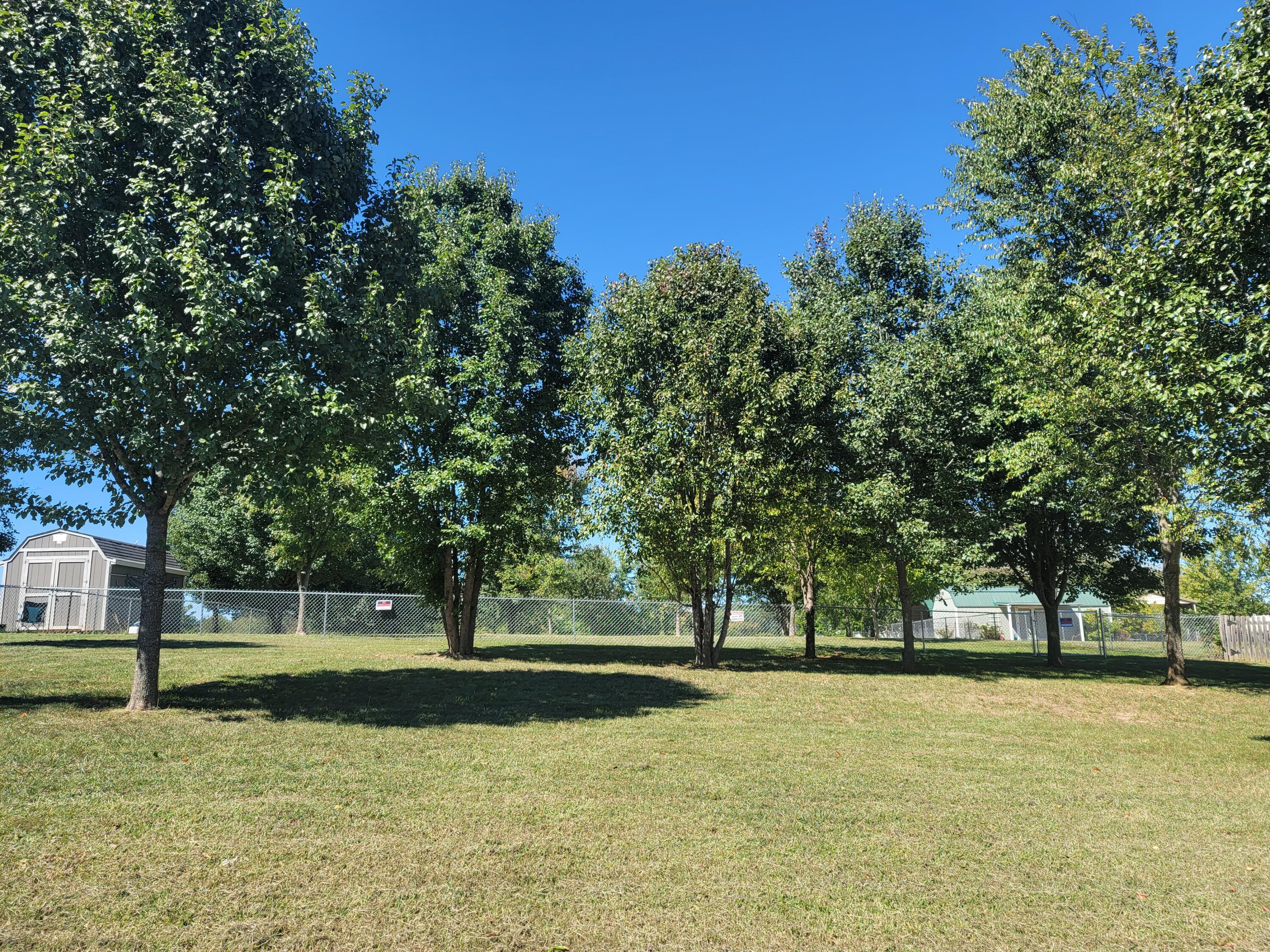 Tbd Pinto Road Greeneville, TN 37745 - Photo 6 of 10 20220929_134106
