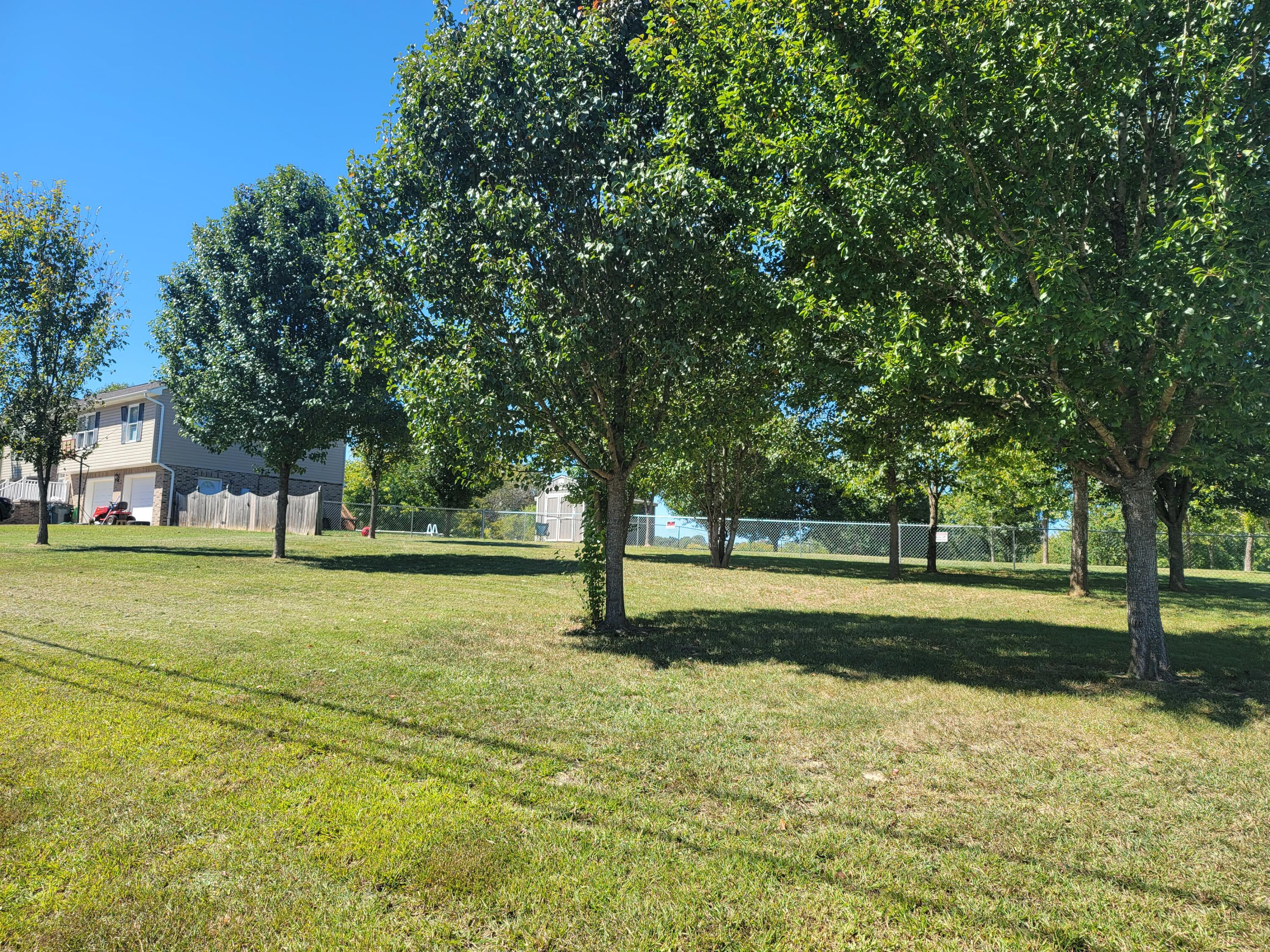 Tbd Pinto Road Greeneville, TN 37745 - Photo 7 of 10 20220929_134027