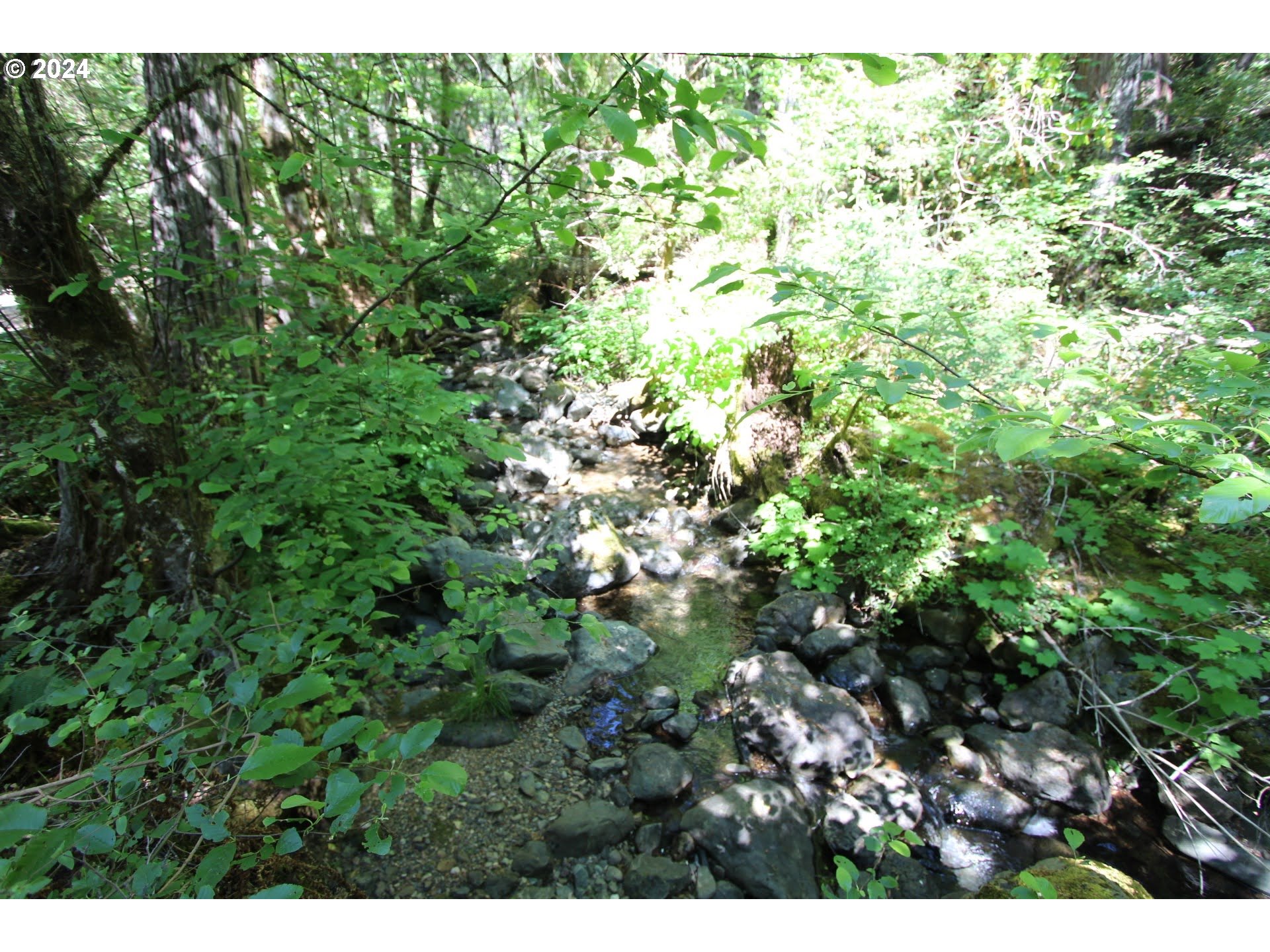 0 Forest Creek Road, Unit 114 Selma, OR 97538 - Photo 20 of 27 Gallery Image 20