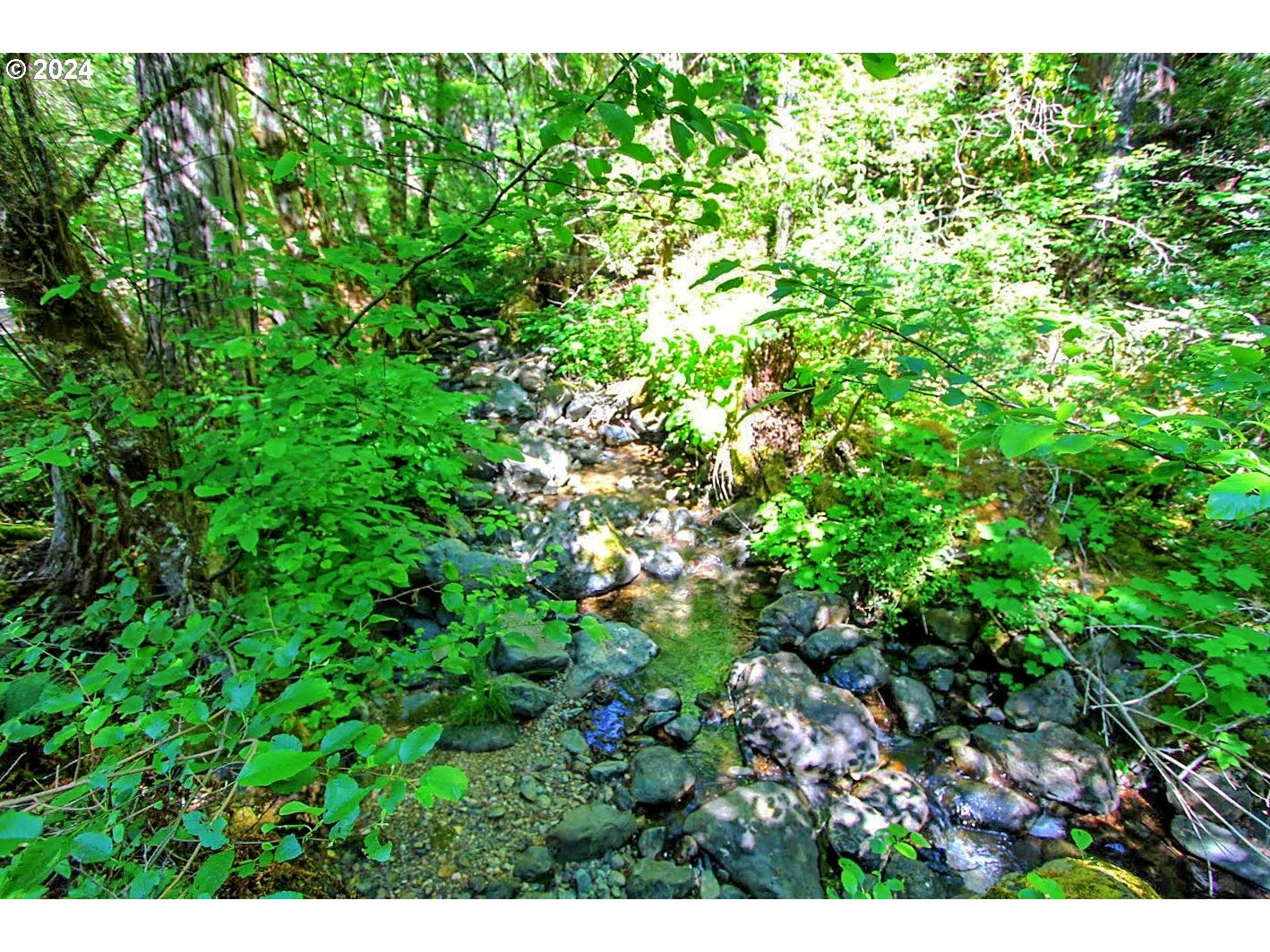 0 Forest Creek Road, Unit 114 Selma, OR 97538 - Photo 21 of 27 Gallery Image 21