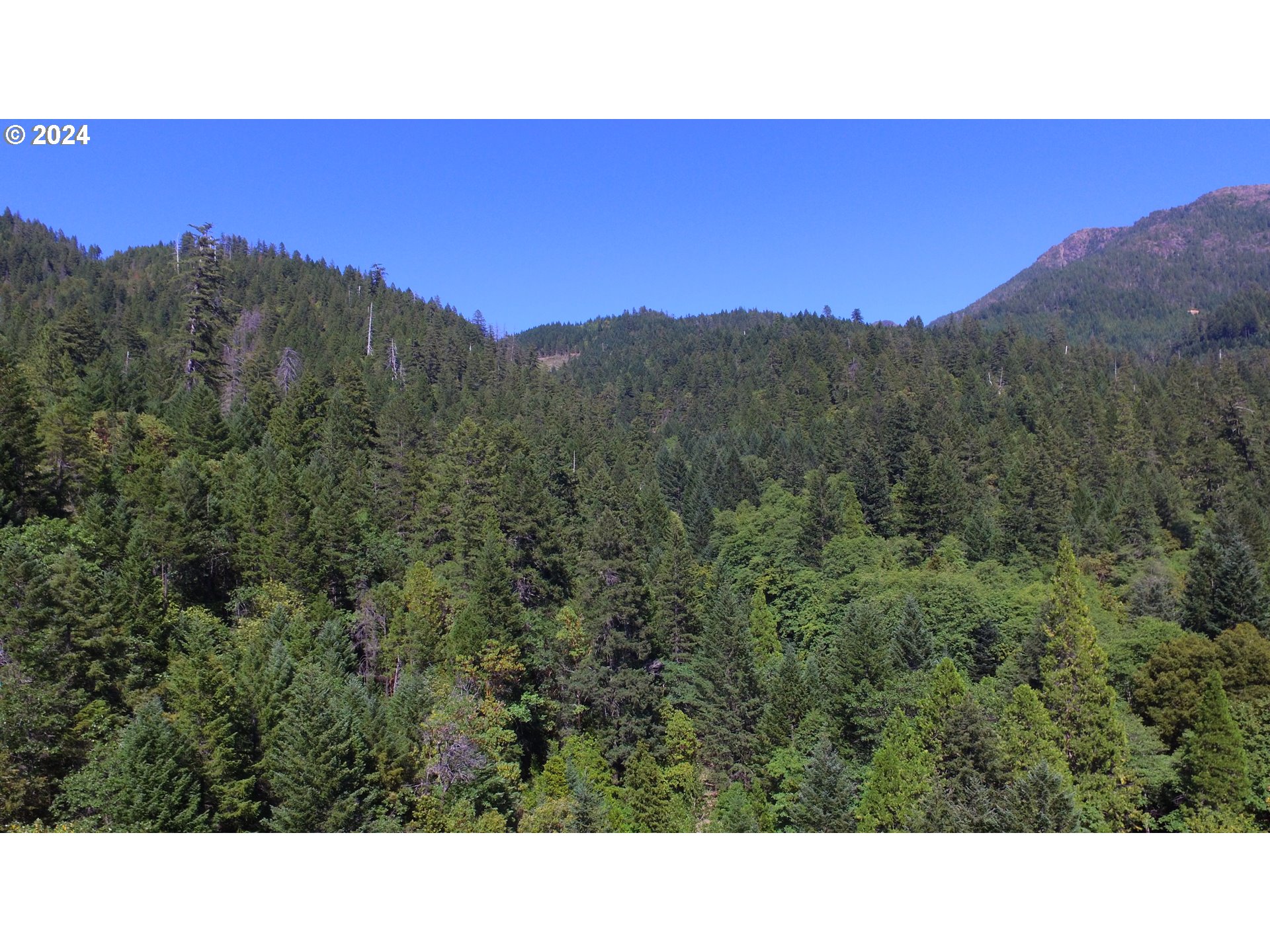 0 Forest Creek Road, Unit 114 Selma, OR 97538 - Photo 23 of 27 Gallery Image 23