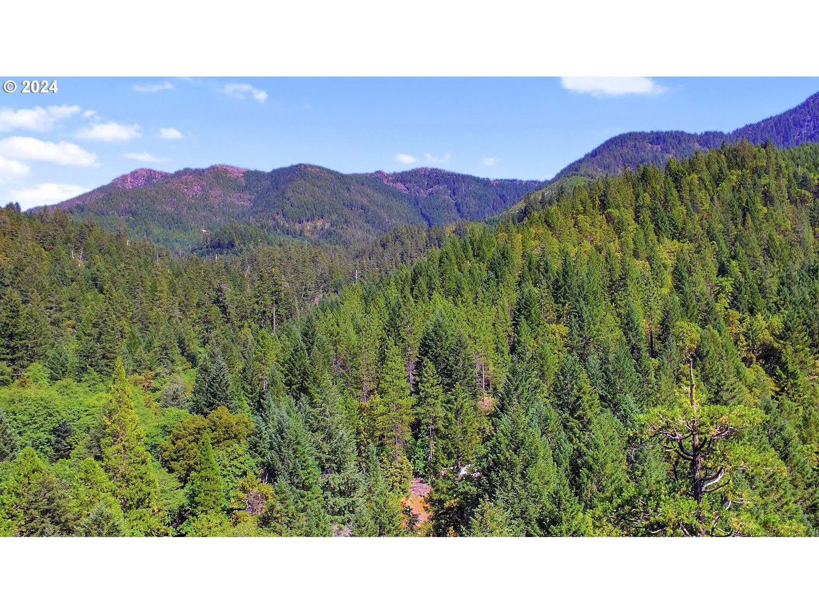 0 Forest Creek Road, Unit 114 Selma, OR 97538 - Photo 26 of 27 Gallery Image 26