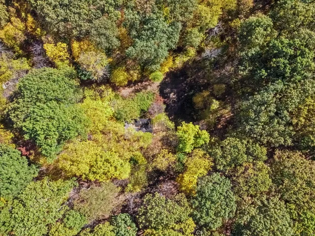 a view of backyard with green space