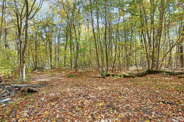 a view of backyard with green space