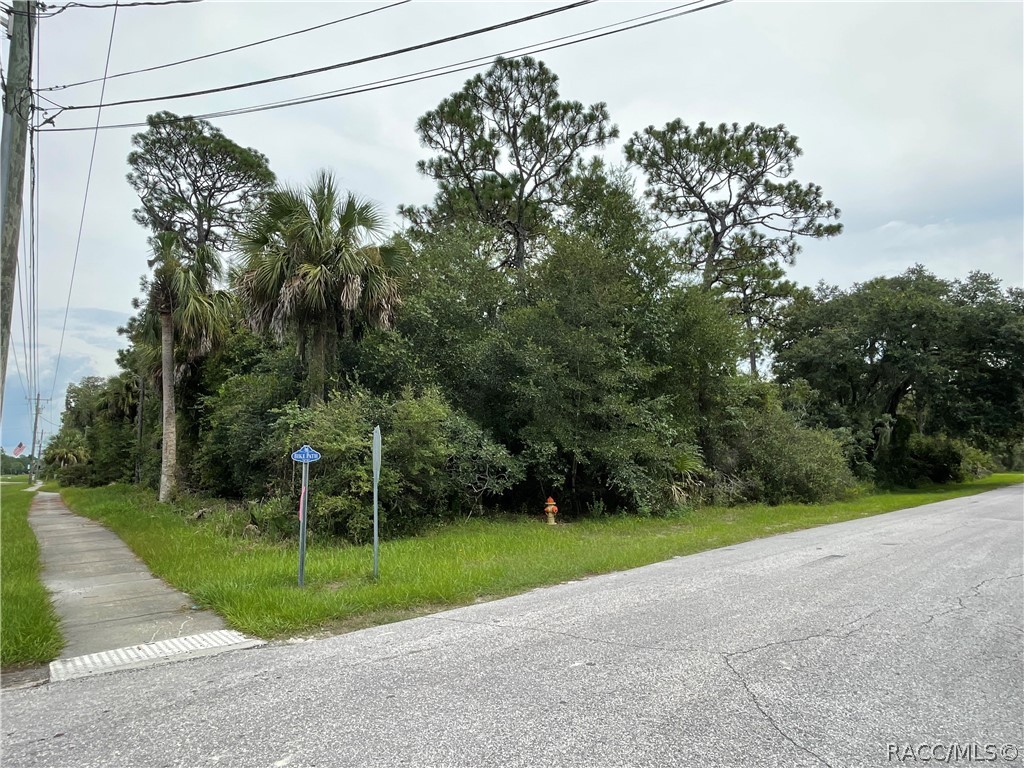 0 West Highway 40 West Inglis, FL 34449 - Photo 3 of 6