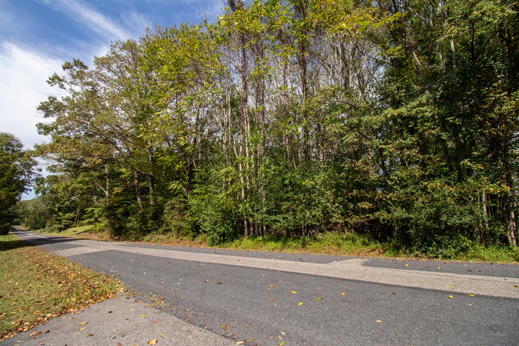 Tbd Golf Course Road, Unit 14 & 38 Spencer, VA 24165 - Photo 1 of 8 Gallery Image 1