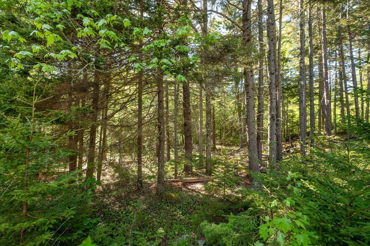 11 Jack Rabbit Road Northport, ME 04849 - Photo 50 of 52 59-11 Jack Rabbit-59