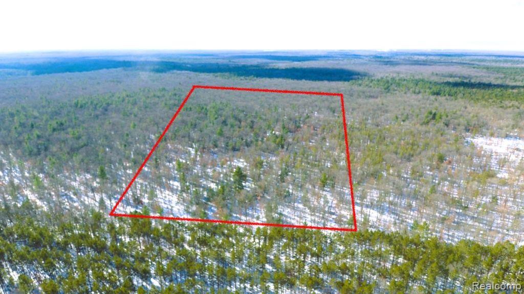 8879 9 Mile Bridge Road Manistee, MI 49660 - Photo 1 of 34