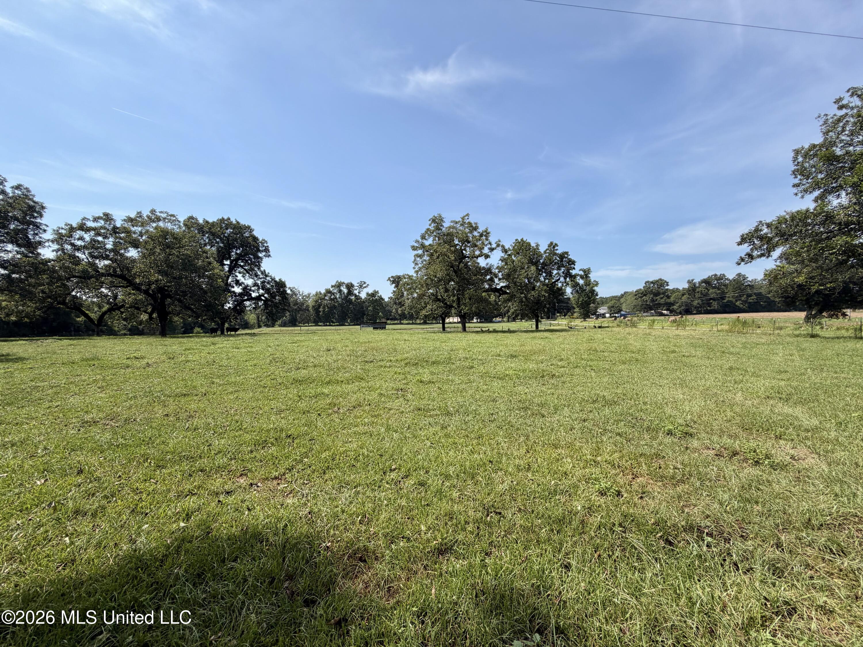8488 Neely Avera Road Leakesville, MS 39451 - Photo 35 of 59 Photo Aug 19 2026, 10 43 04 AM
