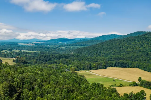 a living room filled with lots of furniture and a potted plant