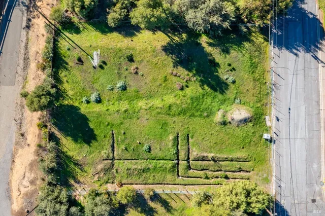a view of a garden with plants