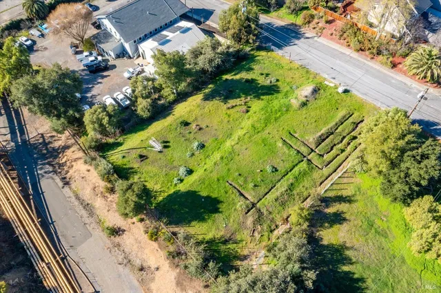 a view of a garden with plants