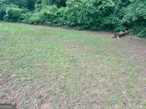 a view of a green field with some trees in the background