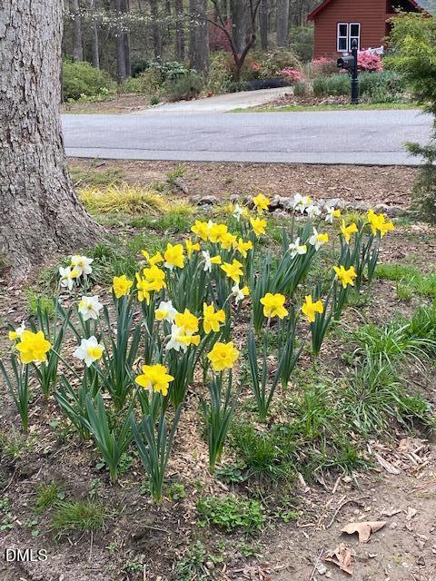 1302 Kingston Ridge Road Cary, NC 27511 - Photo 37 of 45 Kingston Ridge flowers 2
