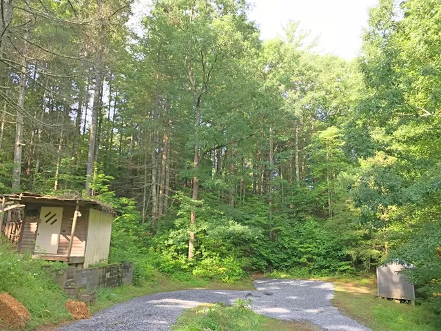 $1,650 | 1674 Nugget Lane, Ellijay, GA 30540