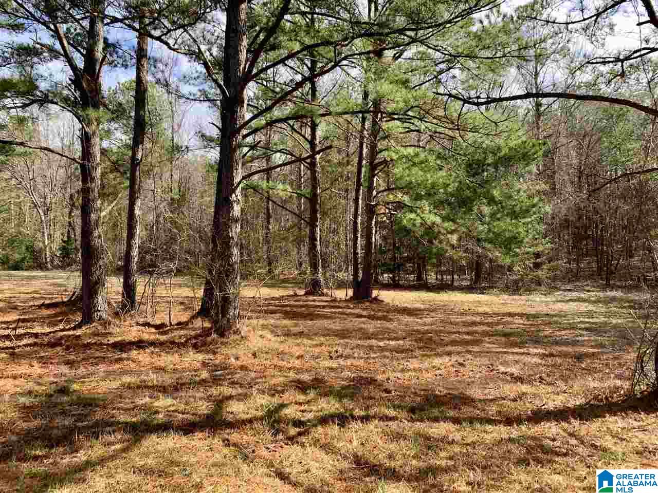 0 County Road 16 Calera, AL 35040 - Photo 15 of 22