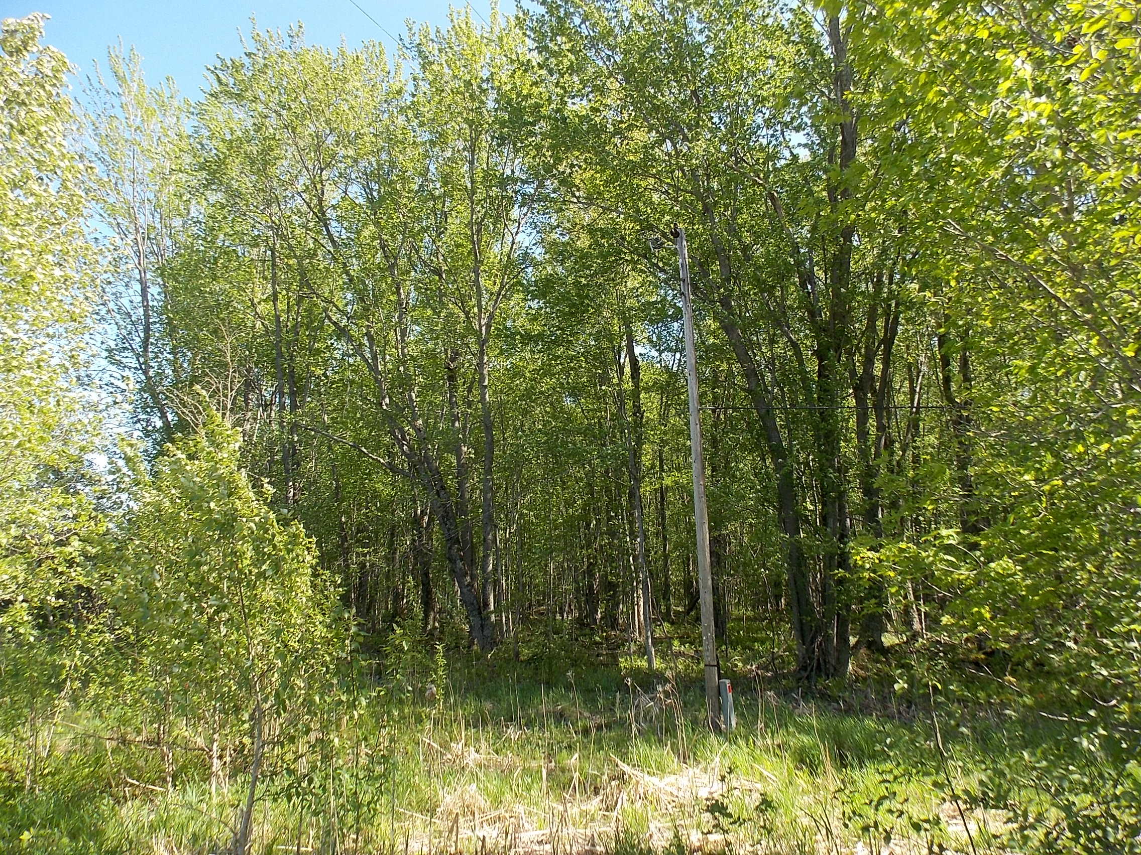 6864 Zolner Road Cheboygan, MI 49721 - Photo 2 of 12 Gallery Image 2