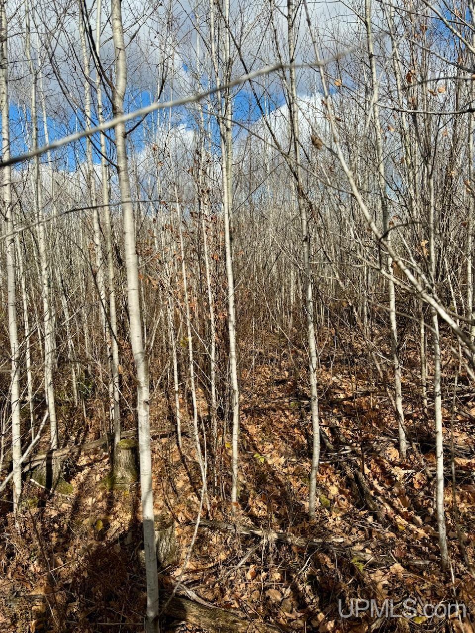 27.5 Rd 52 Ac Trail Gladstone, MI 49837 - Photo 18 of 20