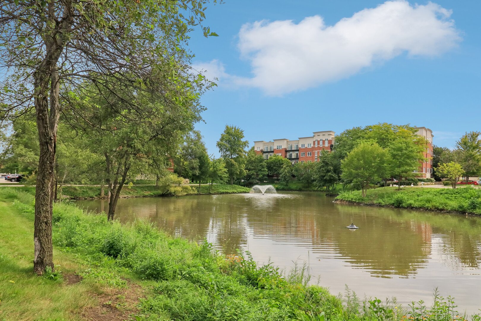 860 Weidner Road, Unit 404 Buffalo Grove, IL 60089 - Photo 29 of 34 Gallery Image 29