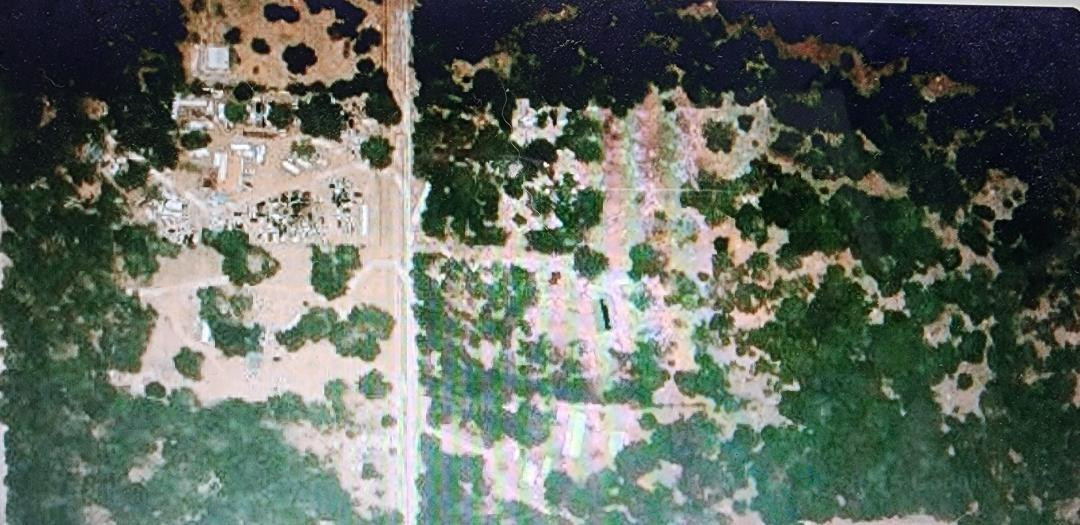 0 Southeast Thomas Way Lee, FL 32059 - Photo 2 of 2 Photo 2