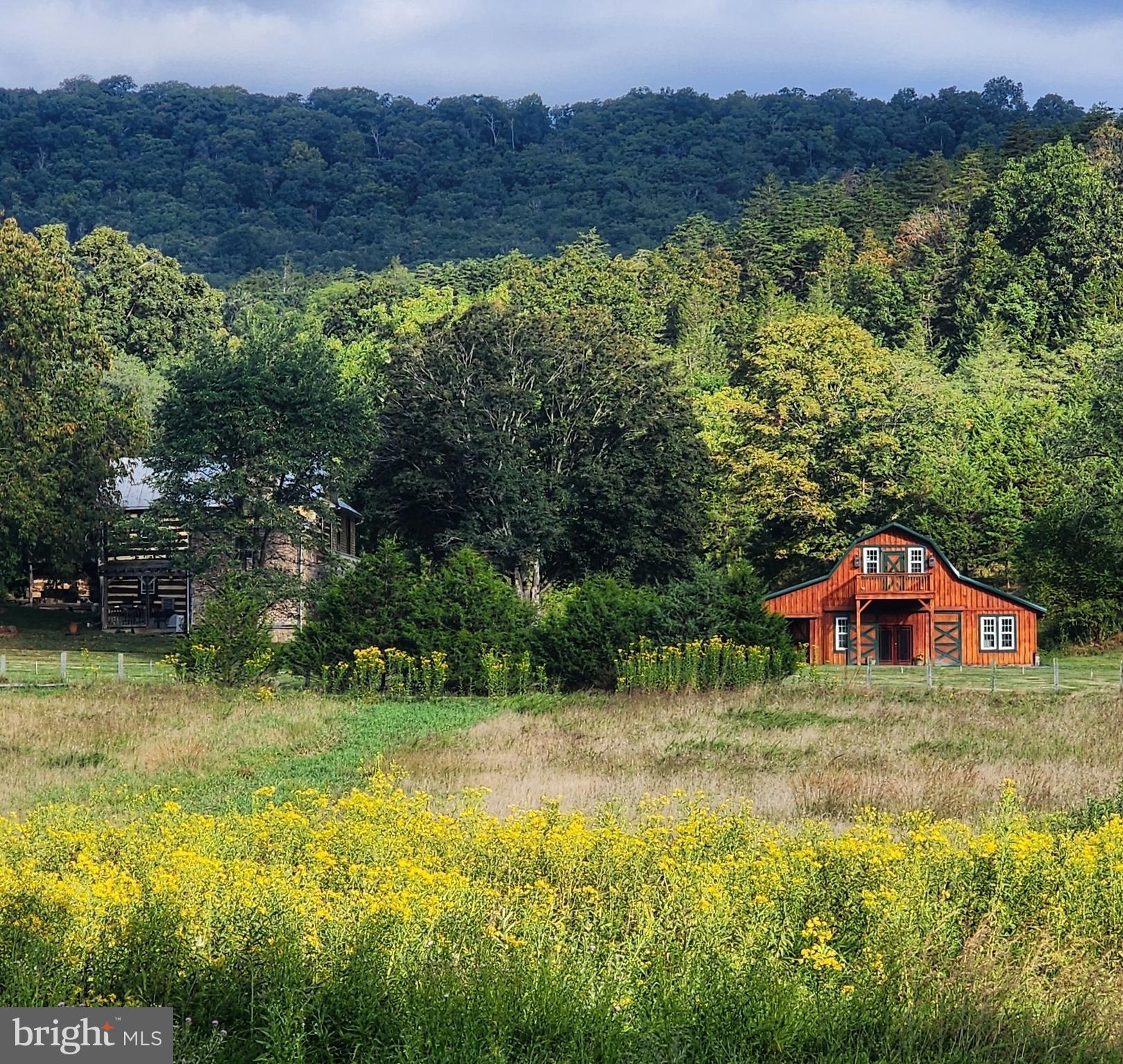 45 Cougar Hollow Road Romney, WV 26757 - Photo 63 of 77