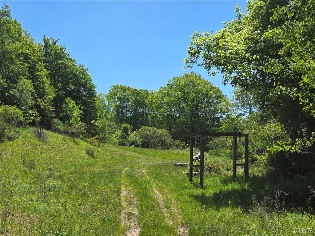 Lillibridge Road Olean, NY 14760 - Photo 3 of 48