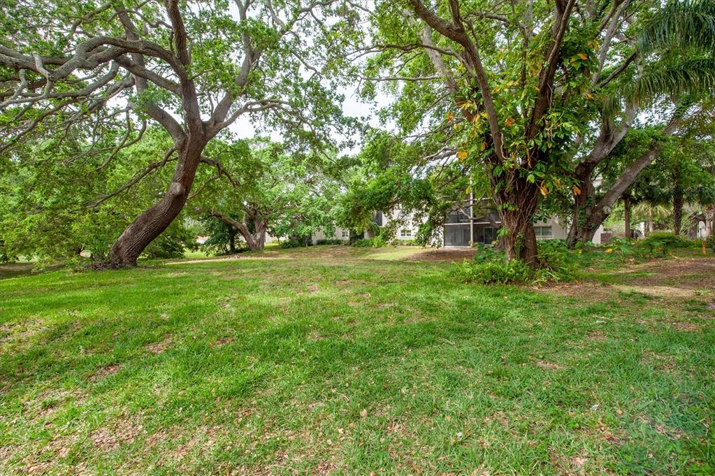 845 Maple Court, Unit 103 Dunedin, FL 34698 - Photo 23 of 27