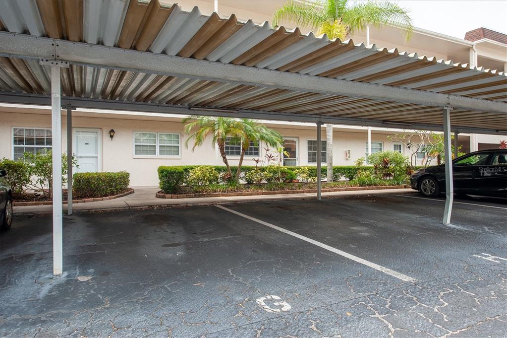 845 Maple Court, Unit 103 Dunedin, FL 34698 - Photo 24 of 27