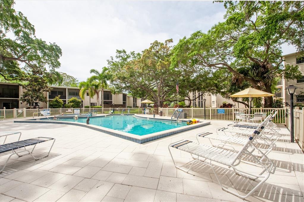 845 Maple Court, Unit 103 Dunedin, FL 34698 - Photo 25 of 27