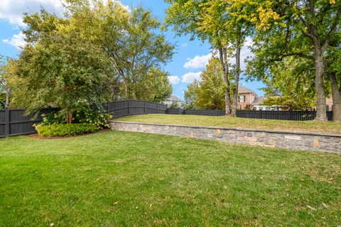 a view of a yard with a large trees