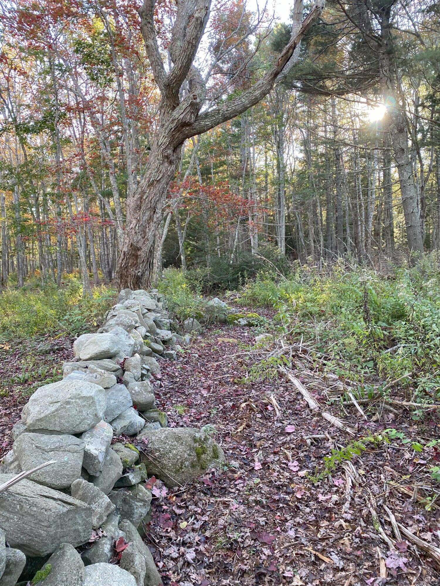 104-a B Rodgers Road New Harbor, ME 04554 - Photo 21 of 24 boulder 5