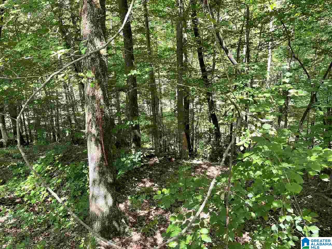 45 Spring Meadow Drive Talladega, AL 35160 - Photo 39 of 44