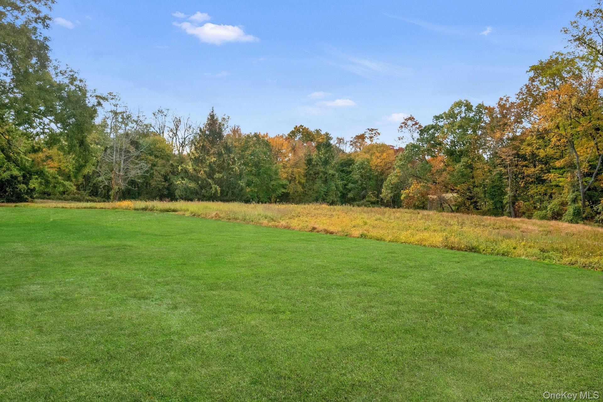 309 Scarborough Road Briarcliff Manor, NY 10510 - Photo 42 of 50 a view of yard with trees in the background