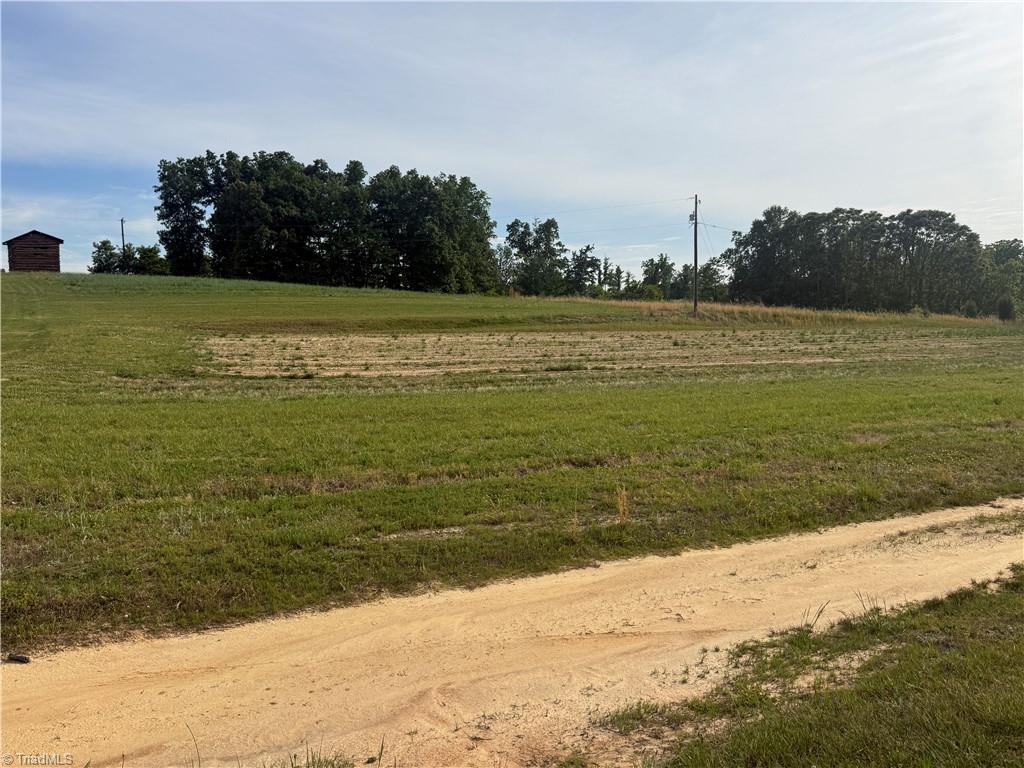 0 Amostown Road Sandy Ridge, NC 27046 - Photo 19 of 33
