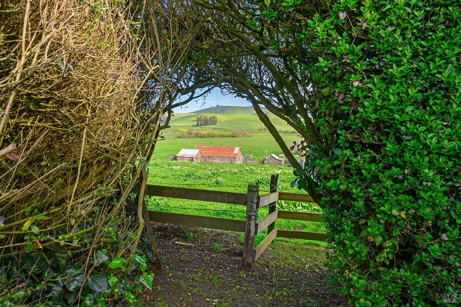14550 Valley Ford Estero Road Valley Ford, CA 94972 - Photo 3 of 45