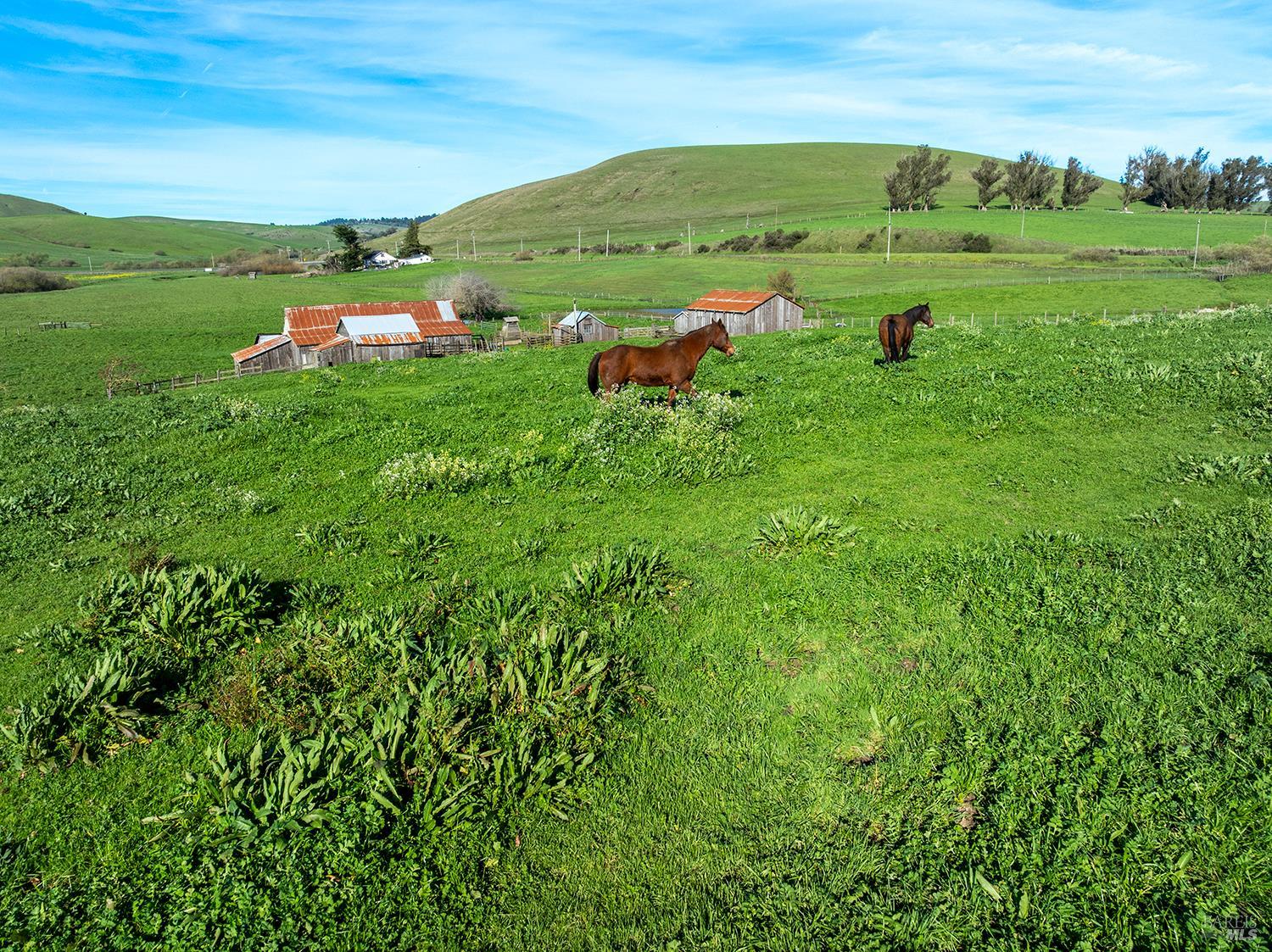 14550 Valley Ford Estero Road Valley Ford, CA 94972 - Photo 31 of 45