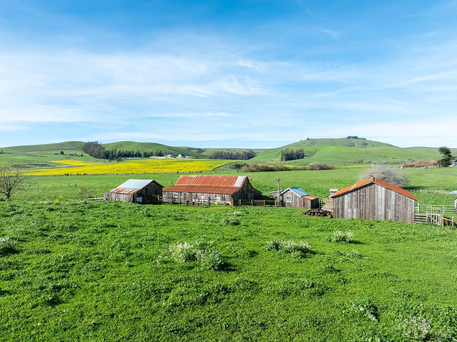 14550 Valley Ford Estero Road Valley Ford, CA 94972 - Photo 4 of 45