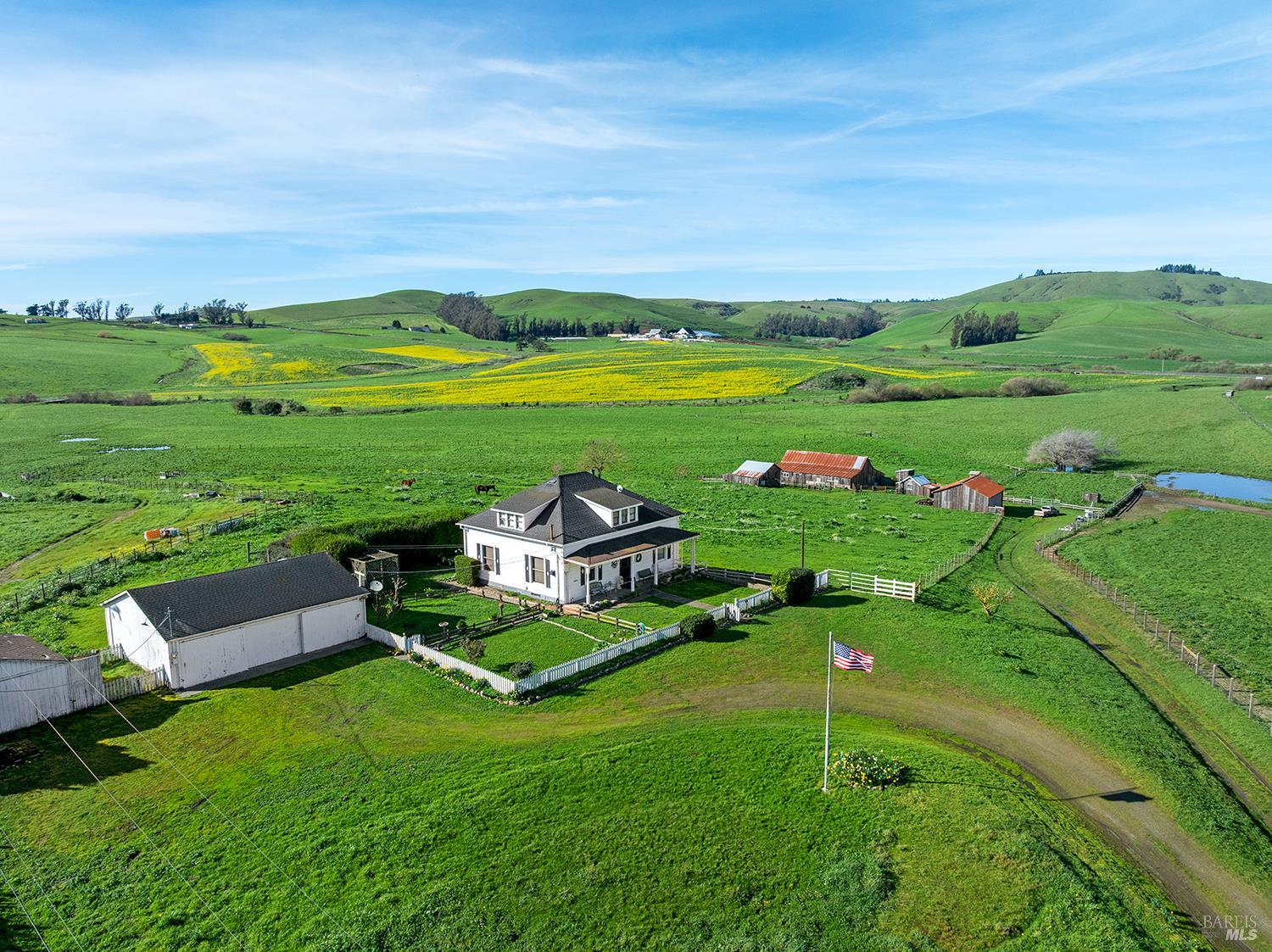 14550 Valley Ford Estero Road Valley Ford, CA 94972 - Photo 6 of 45