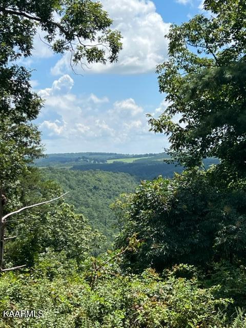 527 Blue Branch Road Grandview, TN 37337 - Photo 11 of 35 IMG_3166