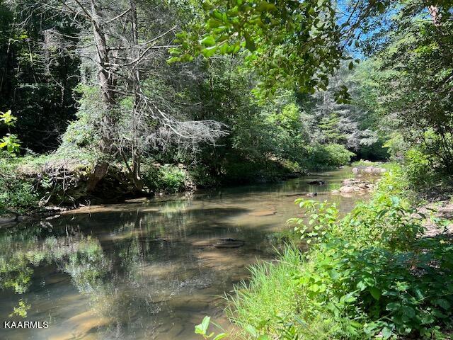 527 Blue Branch Road Grandview, TN 37337 - Photo 14 of 35 IMG_3136