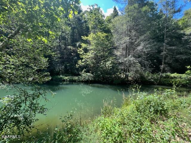 527 Blue Branch Road Grandview, TN 37337 - Photo 15 of 35 IMG_3133