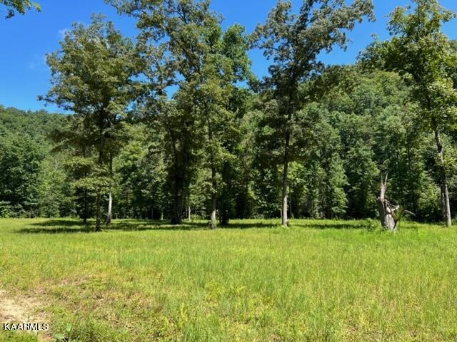 527 Blue Branch Road Grandview, TN 37337 - Photo 16 of 35 IMG_3122