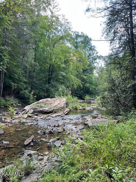 527 Blue Branch Road Grandview, TN 37337 - Photo 17 of 35 IMG_3112