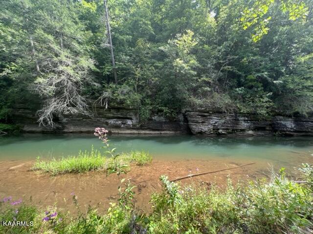 527 Blue Branch Road Grandview, TN 37337 - Photo 18 of 35 IMG_3102