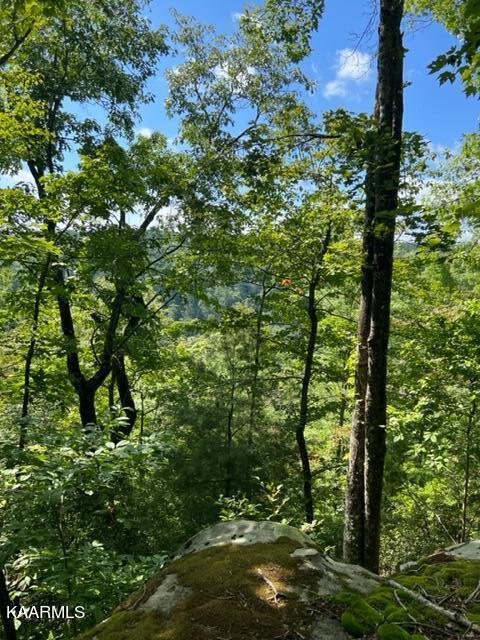 527 Blue Branch Road Grandview, TN 37337 - Photo 19 of 35 IMG_3081