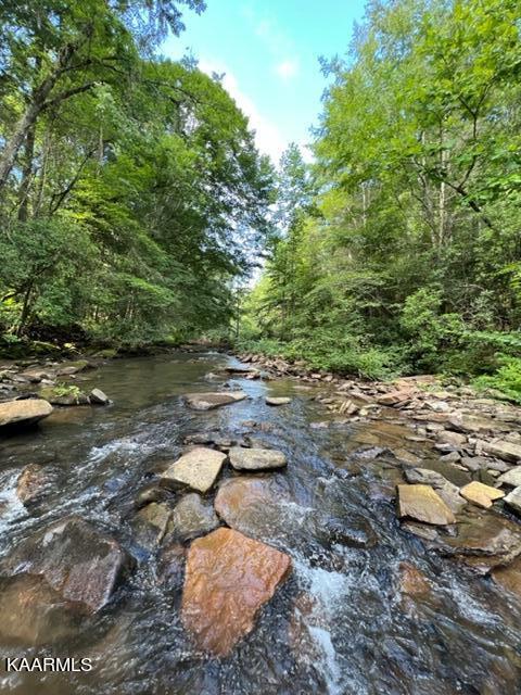527 Blue Branch Road Grandview, TN 37337 - Photo 2 of 35 IMG_3073