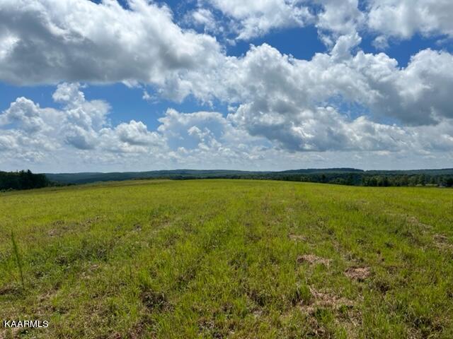 527 Blue Branch Road Grandview, TN 37337 - Photo 22 of 35 IMG_3176