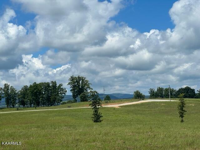 527 Blue Branch Road Grandview, TN 37337 - Photo 23 of 35 IMG_3179