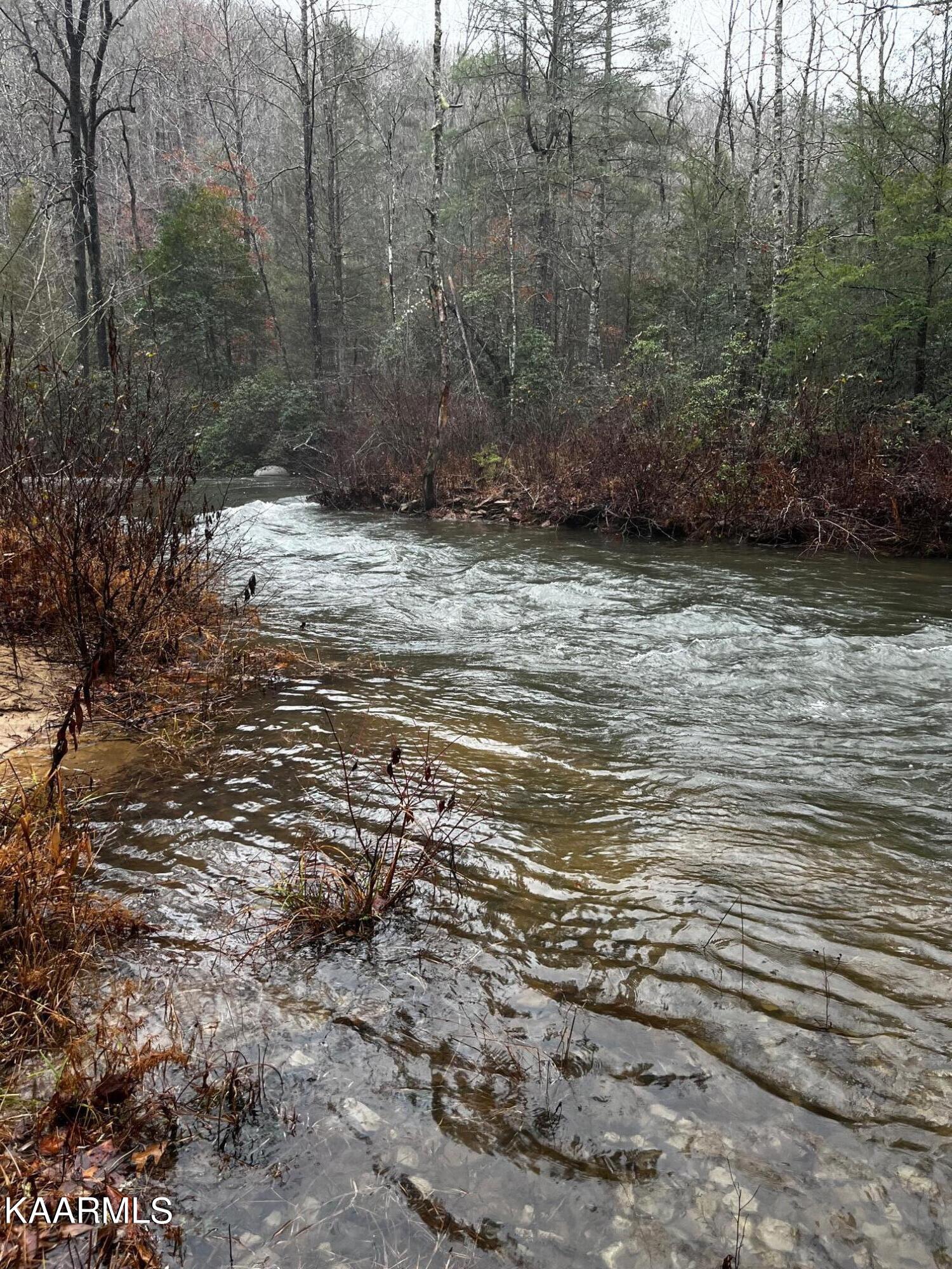 527 Blue Branch Road Grandview, TN 37337 - Photo 26 of 35 Creek LG 3