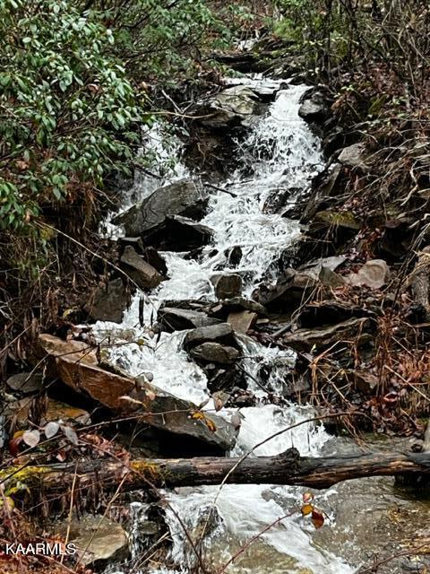527 Blue Branch Road Grandview, TN 37337 - Photo 4 of 35 Waterfall 1